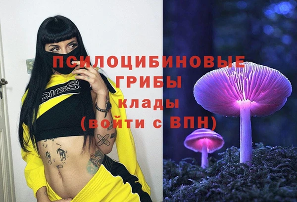 не бодяженный Бородино