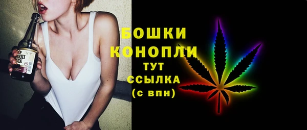 твердый Бронницы