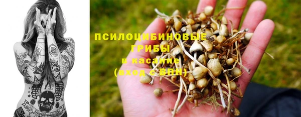 jwh Богородицк