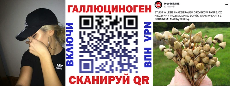 МЕГА   маркетплейс состав  Псилоцибиновые грибы Magic Shrooms  Дубна 
